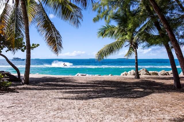 a beach in Jamaica